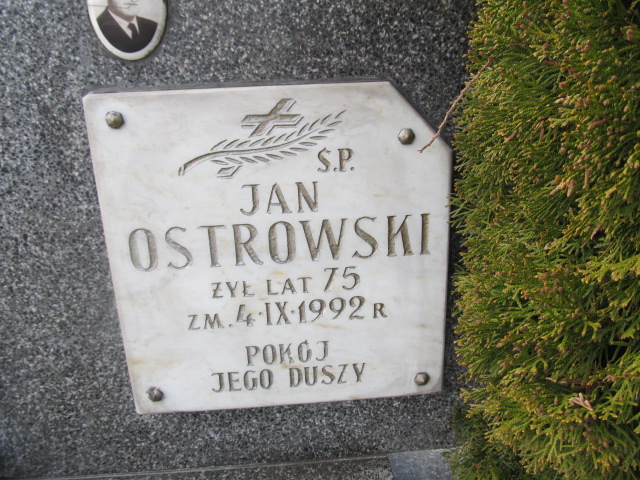 Henryka OSTROWSKA 1922 Łomża - Grobonet - Wyszukiwarka osób pochowanych