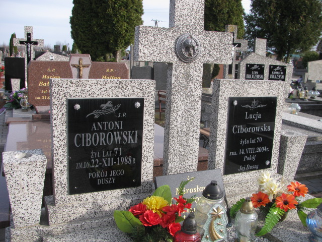 Lucja CIBOROWSKA 1934 Łomża - Grobonet - Wyszukiwarka osób pochowanych