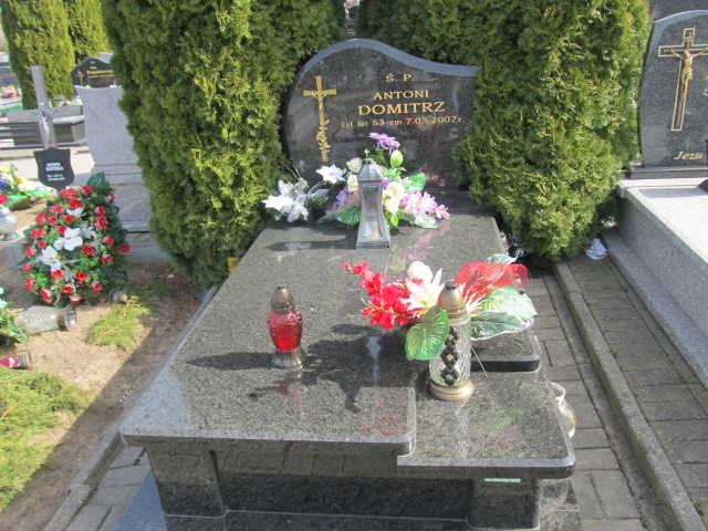 Grób ANTONI DOMITRZ